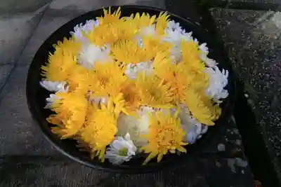 土津神社|こどもと出世の神さまの手水舎