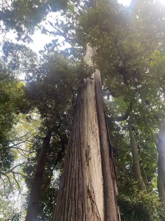 麻賀多神社奥宮(千葉県)