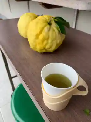 眞中神社の食事