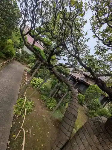 中道院(東京都)