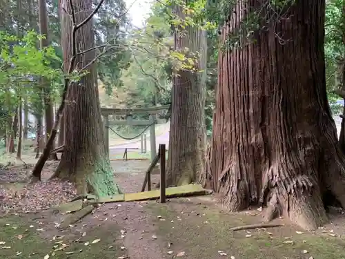 八幡神社の景色