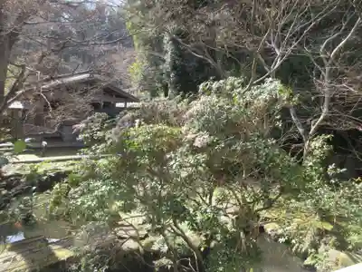 願成就院(静岡県)