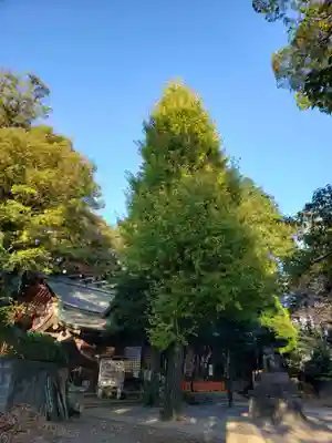 春日神社のその他建物