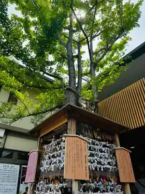 白山神社(新潟県)