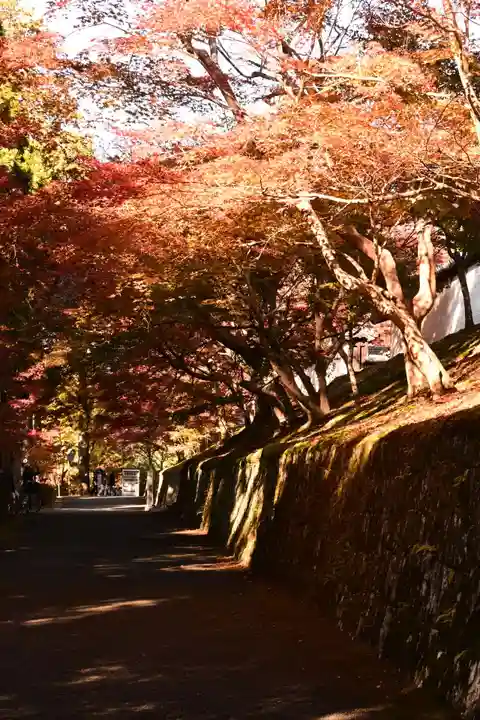 曼殊院門跡(京都府)