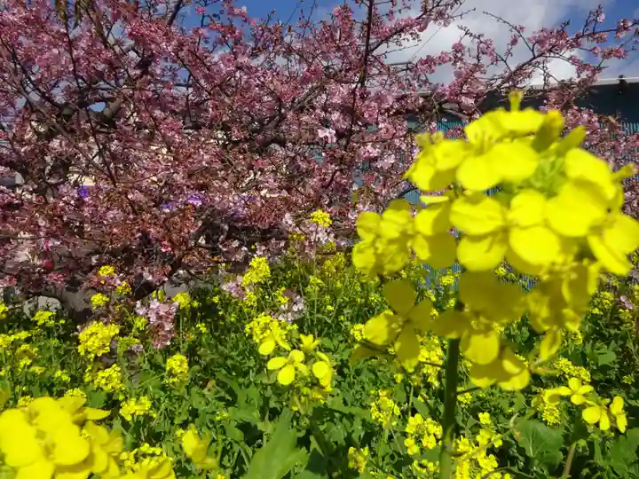 かっぱの寺 栖足寺の自然