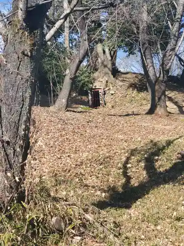 八雲神社(緑町)(栃木県)