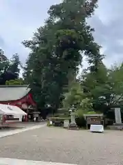 香取神宮(千葉県)