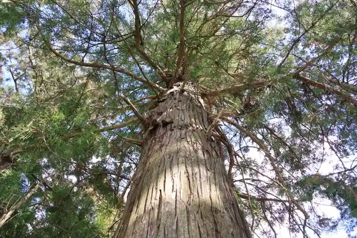 黒沼神社(福島県)