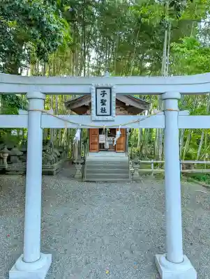天津神社(新潟県)