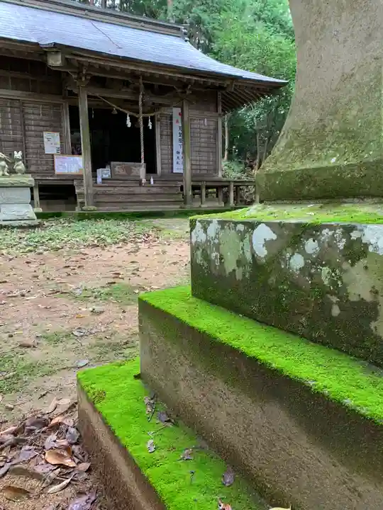 示現神社の本殿・本堂