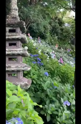 長谷寺(神奈川県)
