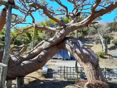 荘厳寺(岩手県)