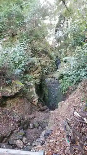 松尾大社の自然