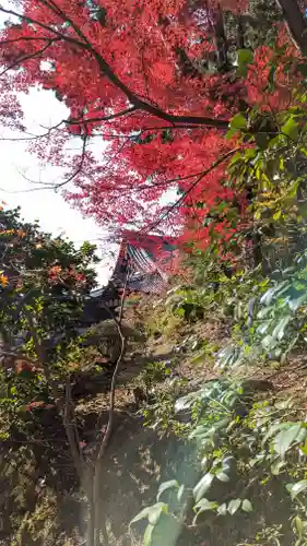 くろ谷 金戒光明寺(京都府)