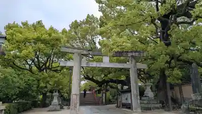 太宰府天満宮の鳥居