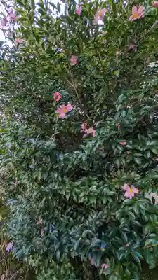 尊陽院(京都府)