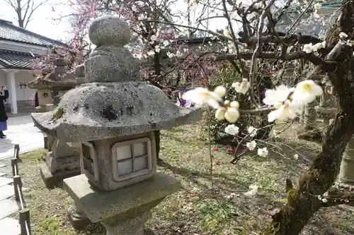 北野天満宮の庭園