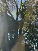 稲荷神社(東京都)