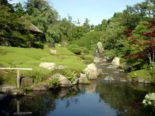 退蔵院の庭園