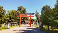 北海道護國神社の鳥居