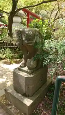 高幡不動尊 金剛寺の狛犬