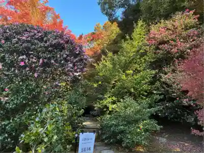 霊鑑寺門跡(京都府)