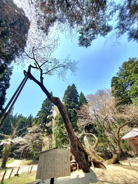 磐椅神社(福島県)