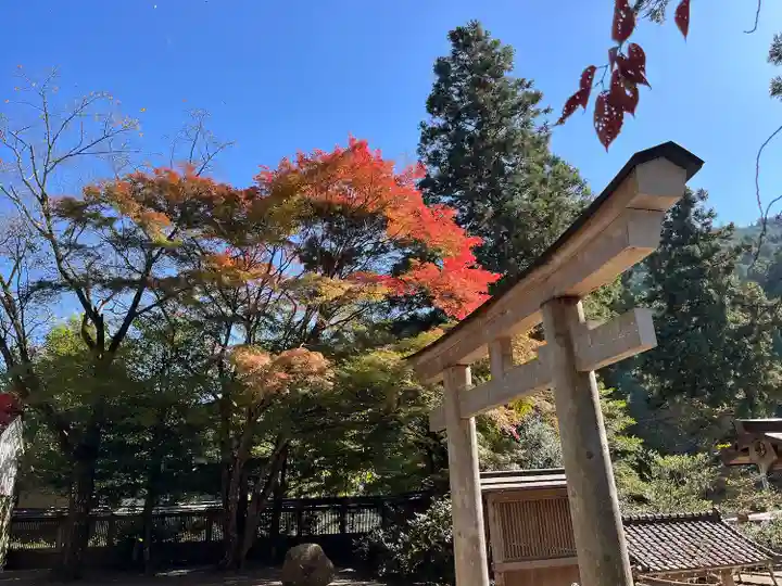 丹生川上神社(下社)(奈良県)