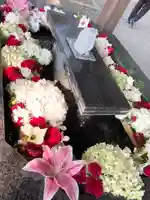 新琴似神社の手水舎