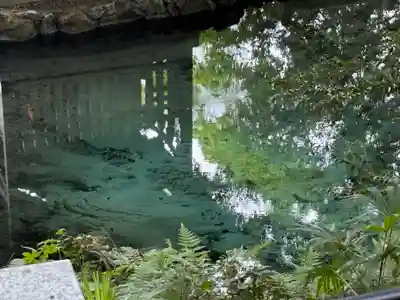 泉神社(茨城県)