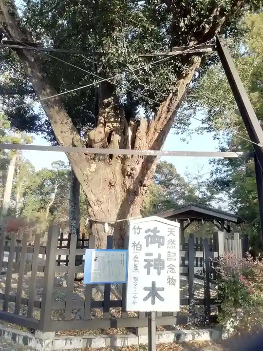 天宮神社(静岡県)