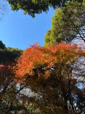 明治神宮の自然