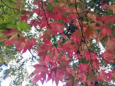 貴船神社(福井県)