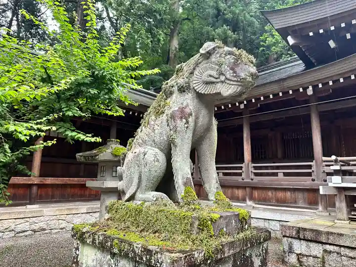 飛驒一宮水無神社の狛犬