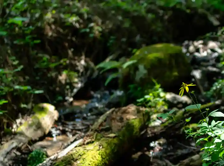 諏訪大社(長野県)