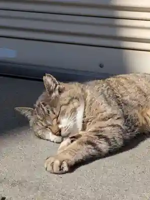 白金氷川神社(東京都)