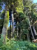 大宮温泉神社(栃木県)