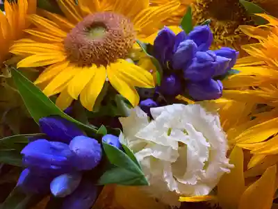 滑川神社 - 仕事と子どもの守り神の手水舎