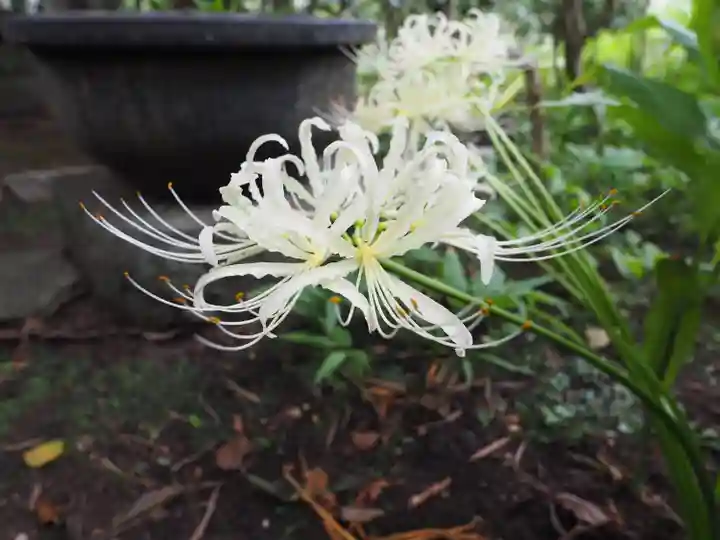 宝戒寺(神奈川県)