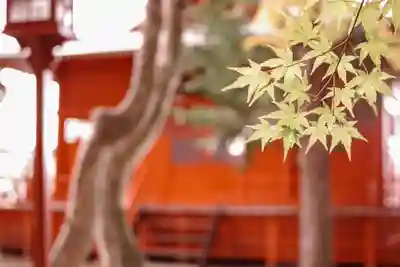 鼻顔稲荷神社(長野県)