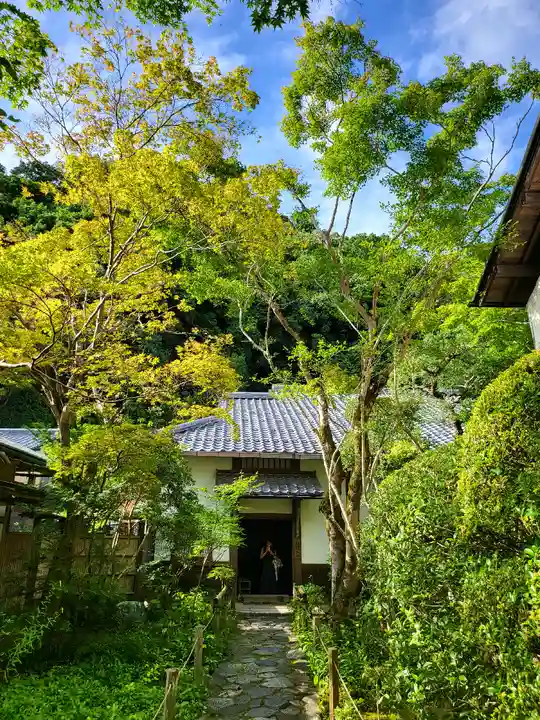 蓮華寺(洛北蓮華寺)の自然