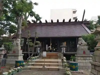 高円寺氷川神社の本殿・本堂