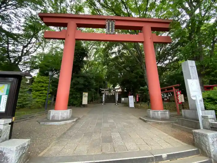世田谷八幡宮の鳥居