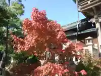 彦島八幡宮(山口県)