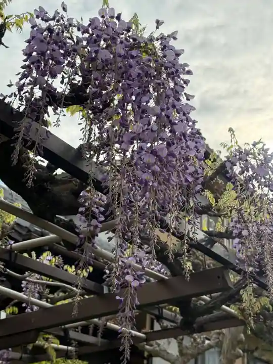 西方山極楽寺(岐阜県)