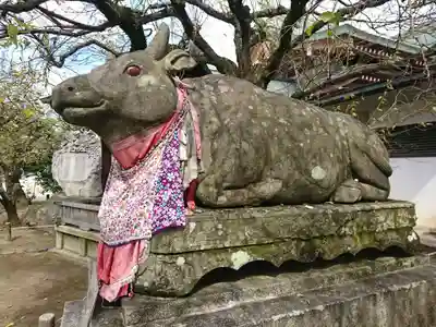 北野天満宮の狛犬