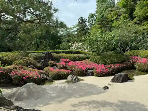 明月院(神奈川県)