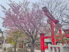 彌彦神社　(伊夜日子神社)(北海道)