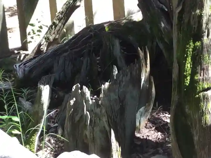 弓削神社(山梨県)